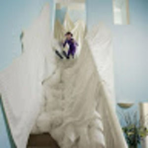 Meet your Posher, Shelley